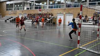 Final Balonmano FECEM -Cerbuna